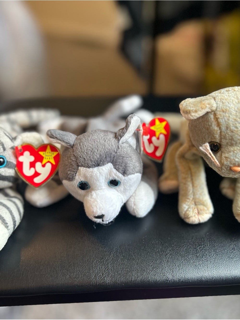 Ty Plush bundle of 3